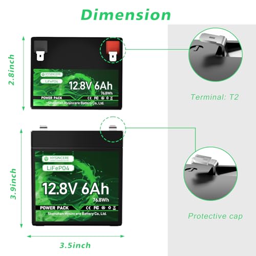 12V 100Ah LiFePO4 Lithium Battery with 100A BMS U8311