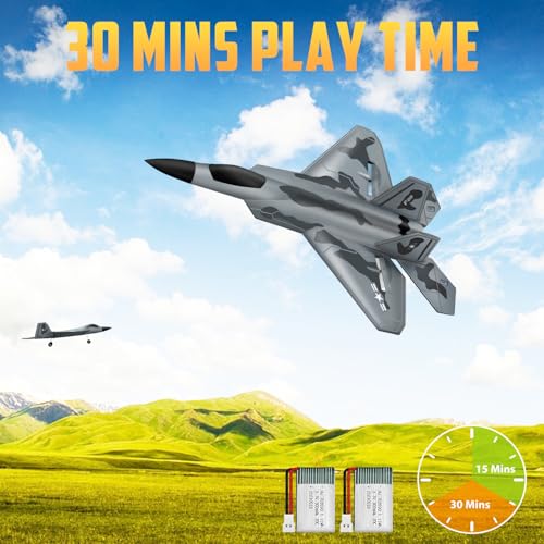 HAWK'S WORK 2 CH RC Airplane F-22 Ready to Fly 2.4GHz A3792