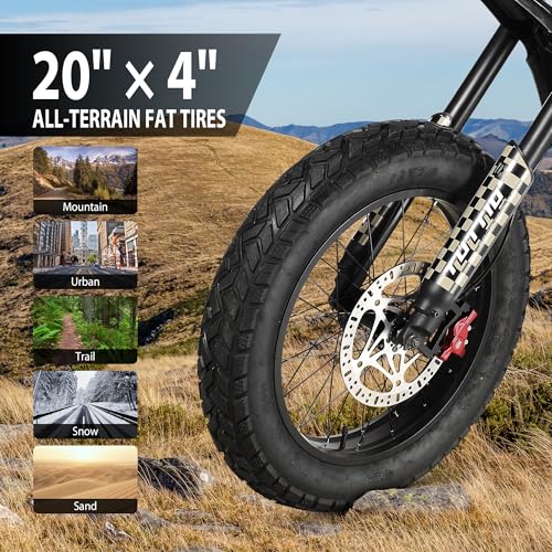 ICT Peak 4000W Electric Dirt Bike for Adults, 20" Fat Tire Off-Road Motorcycle E8841