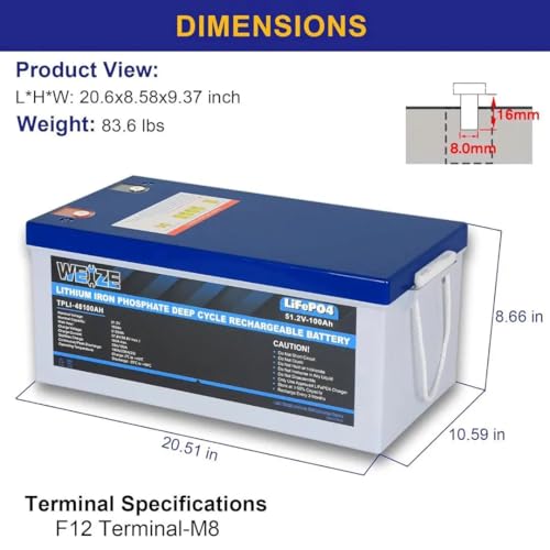 Weize 12V 100Ah LiFePO4 Lithium Battery with Smart BMS D8810
