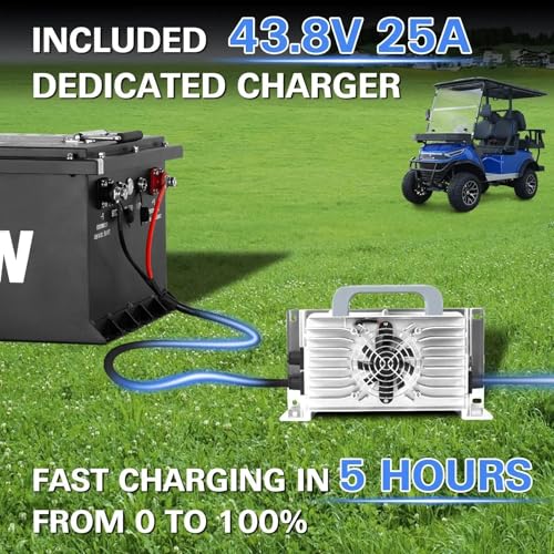Weize 12V 100Ah LiFePO4 Lithium Battery with Smart BMS D8810