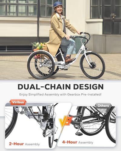 Viribus Electric Tricycle for Adults, 350W, 7 Speed, Removable Battery O6671