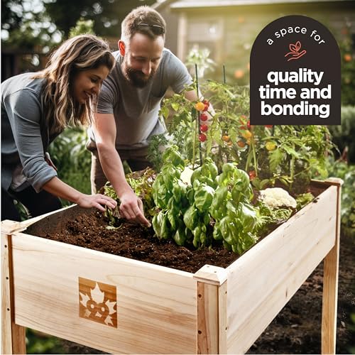 Raised Garden Bed with Legs 48x24x30 Natural Cedar Wood Elevated Planter Box O940090