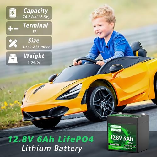 12V 100Ah LiFePO4 Lithium Battery with 100A BMS U8311