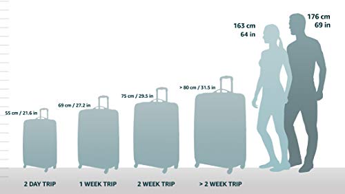 Rockland London Hardside Expandable Luggage with Spinner Wheels, Blue, Carry-On 20-Inch C925214