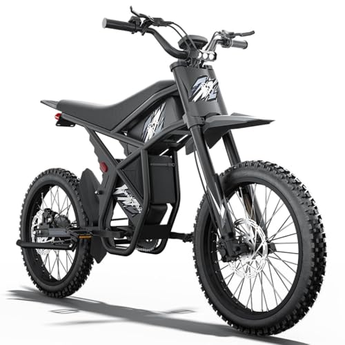 2000W/3000W GT73 Electric Dirt Bike for Adults, 25" Fat Tires, Dual Removable Battery T652