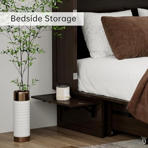 Solid Wood Murphy Bed Cabinet Full with USB Charging Ports and Storage Drawer, Ebony D190415