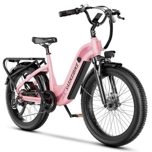 1500W Electric Bike for Adults, 48V 20AH Removable Battery Step-Thru, 24" Fat Tire Y988340