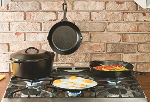 Lodge Reversible Cast Iron Grill/Griddle, 9.5 x 16.75 Inch, Pre-Seasoned U26188