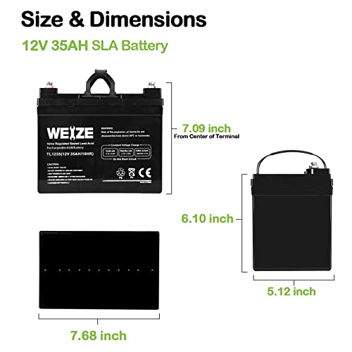 Weize Deep Cycle AGM 12V 100Ah Battery for RV, Solar, Marine C30451
