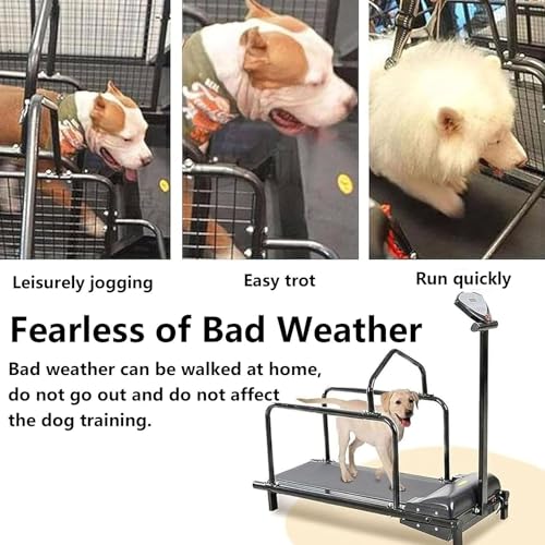 Dog Treadmill for Large Dogs, Pet Running Machine Indoor Exercise O8231