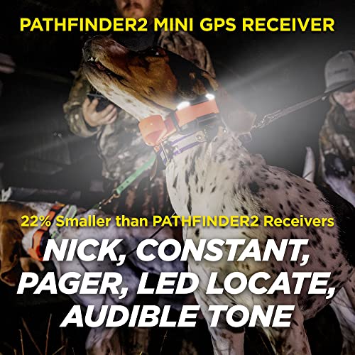 Dogtra Pathfinder 2 GPS Dog Tracker e Collar 9 Mile Range Waterproof Y2564