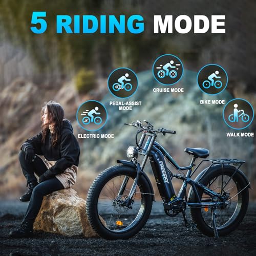 FREESKY 2000W Electric Bike with BAFANG Motor, 48V 30Ah Samsung Battery, 35MPH, 120 Miles Range K7833