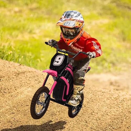 24V 350W Kids Electric Dirt Bike, 3-Speed, Off-Road Ride-On Motorcycle S465