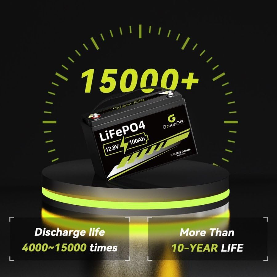 12V 100Ah LiFePO4 Battery Group 31 with Built-in 100A BMS U8702
