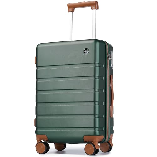 Hardside Carry-on Luggage 20 Inch with Spinner Wheels and TSA Lock J743