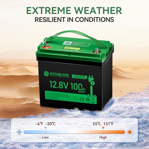 12V 100Ah LiFePO4 Lithium Battery with 100A BMS U8311