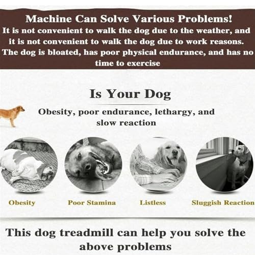 Dog Treadmill for Large and Small Dogs, Cats, and Pets H96431