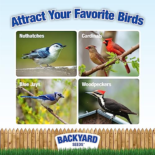 CountryMax Backyard Seeds Shelled Whole Peanuts for Birds & Wildlife, 10 lbs Bag H28185