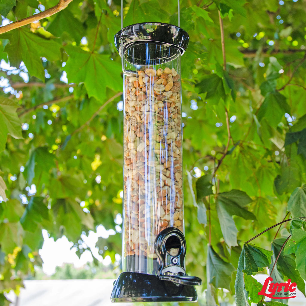 Lyric Delite Wild Bird Seed, No Waste Shell-Free Nuts & Seeds, 20 lb. Bag Q803048