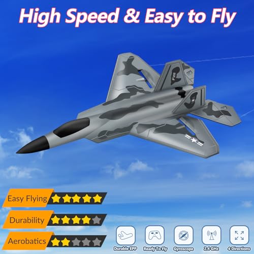 HAWK'S WORK 2 CH RC Airplane F-22 Ready to Fly 2.4GHz A3792