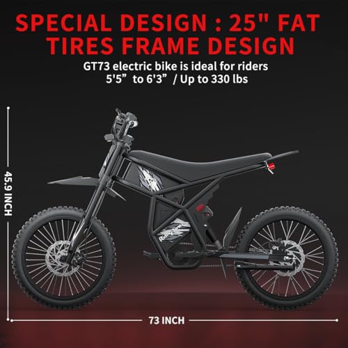 2000W/3000W GT73 Electric Dirt Bike for Adults, 25" Fat Tires, Dual Removable Battery T652