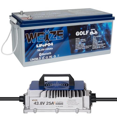Weize 12V 100Ah LiFePO4 Lithium Battery with Smart BMS D8810