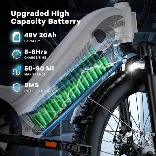 1500W Electric Bike for Adults, 48V 20AH Removable Battery Step-Thru, 24" Fat Tire Y988340