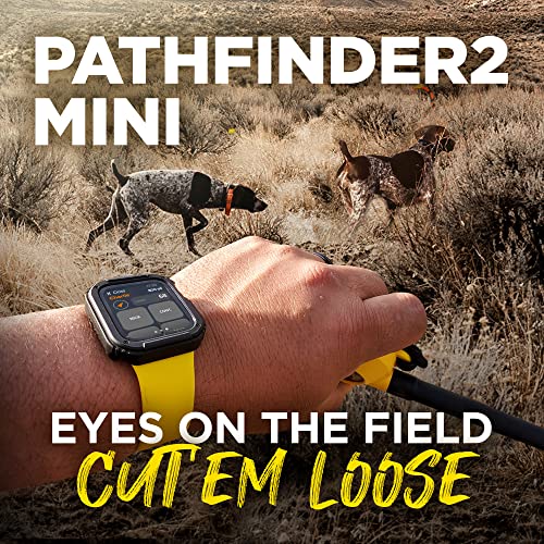 Dogtra Pathfinder 2 GPS Dog Tracker e Collar 9 Mile Range Waterproof Y2564
