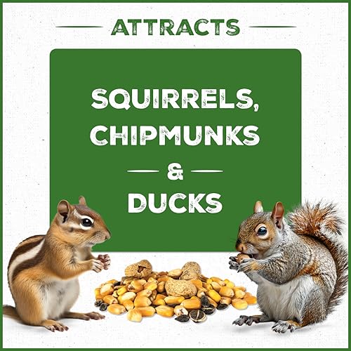 Pennington Pride Squirrel & Critter Blend with Corn, Sunflower Seeds and Peanuts, 10-lb Bag U96506