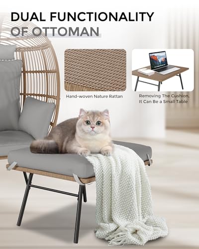 Wicker Egg Chair with Ottoman and Cushion G565