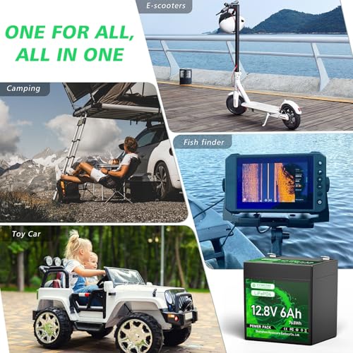 12V 100Ah LiFePO4 Lithium Battery with 100A BMS U8311