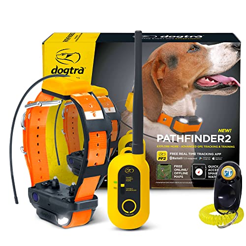 Dogtra Pathfinder 2 GPS Dog Training Collar with Remote for Hunting A281259