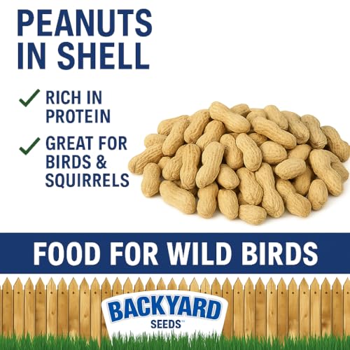 CountryMax Backyard Seeds Peanuts in Shell for Birds & Wildlife, 5 LB Bag A76637