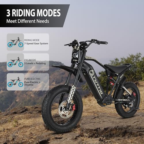 TUTTIO ICT Electric Bike for Adults, 4000W 60V 25AH, 20" Fat Tire Full Suspension K74003