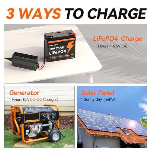 12V 25Ah LiFePO4 Battery with Built-in 20A BMS Q9551