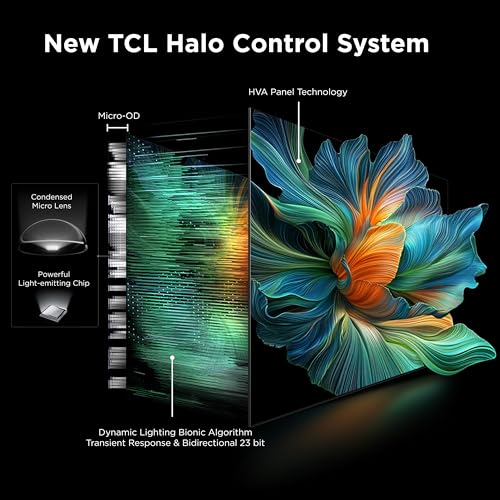 TCL 65-Inch Class QM6K Series QD-Mini LED 4K UHD Google Smart TV K982