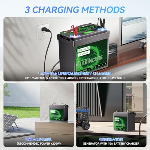 12V 100Ah LiFePO4 Lithium Battery with 100A BMS U8311