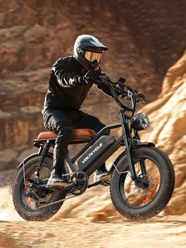 Electric Bike for Adults 48V 500W 20" Fat Tire Full Suspension E-Bike C254