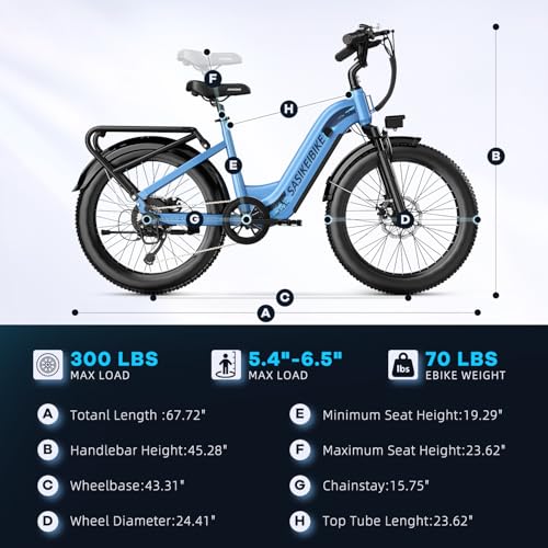 1500W Electric Bike for Adults, 48V 20AH Removable Battery Step-Thru, 24" Fat Tire Y988340