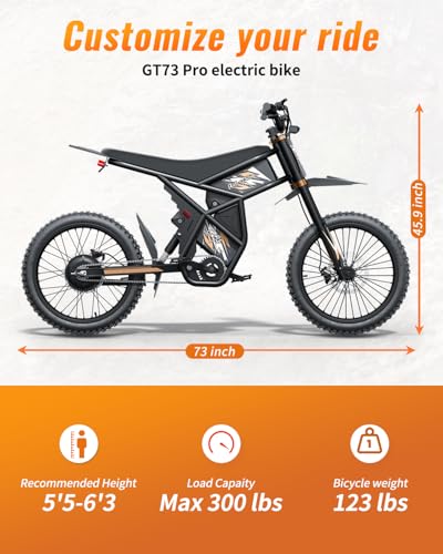 2000W/3000W GT73 Electric Dirt Bike for Adults, 25" Fat Tires, Dual Removable Battery T652