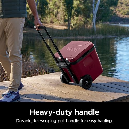 Ninja FrostVault 45QT Cooler with Wheels, Lakeshore Blue M1144