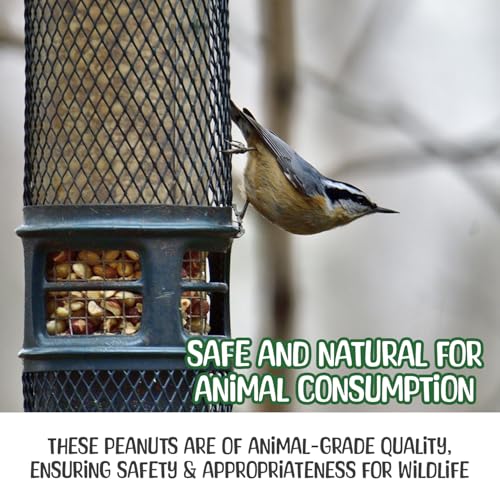 25 lb Raw Peanuts in Shell for Wildlife - Grown in USA C1313