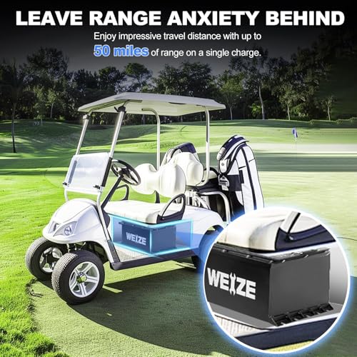 Weize 12V 100Ah LiFePO4 Lithium Battery with Smart BMS D8810