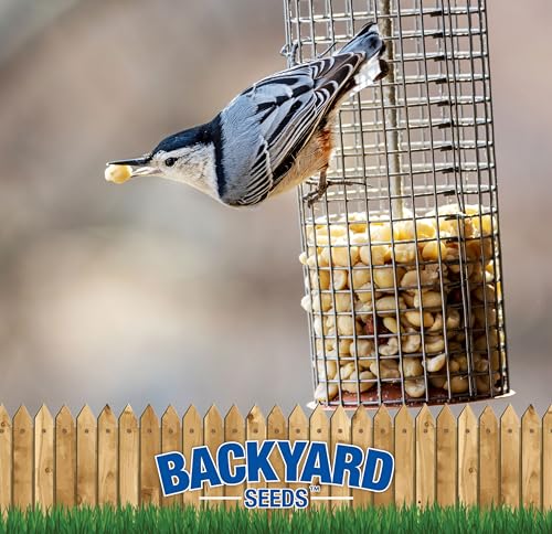Backyard Seeds Shelled Peanut Pickouts – 25 lb Bag for Wild Birds & Wildlife O86894