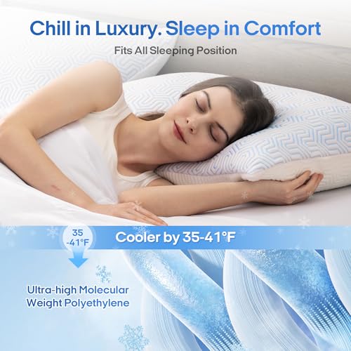puredown® Goose Feathers and Down White Pillows King Size Set of 2 G471477