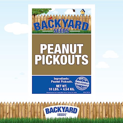 CountryMax Backyard Seeds Shelled Whole Peanuts for Birds & Wildlife, 10 lbs Bag H28185