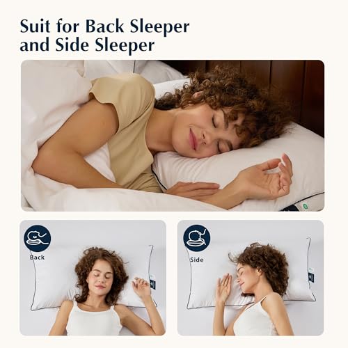 Pacific Coast Feather and Down Bed Pillows for Side and Back Sleepers, King 2 Pack H8237