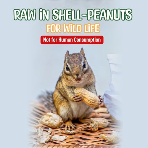 Raw Peanuts in Shell 10 Pounds for Wildlife, Grown in USA Q22260