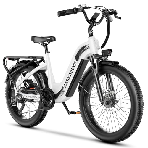 1500W Electric Bike for Adults, 48V 20AH Removable Battery Step-Thru, 24" Fat Tire Y988340